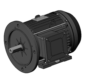 Motore Trifase 230/400/50