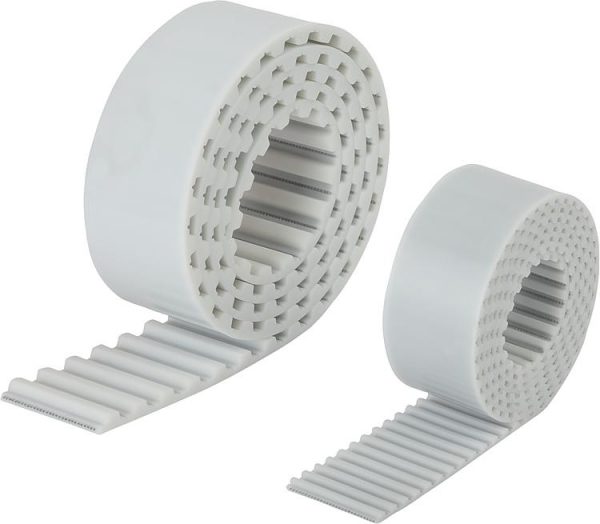 CINGHIE DENTATE A METRAGGIO
